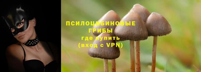 Псилоцибиновые грибы Magic Shrooms  продажа наркотиков  ОМГ ОМГ   Барнаул 